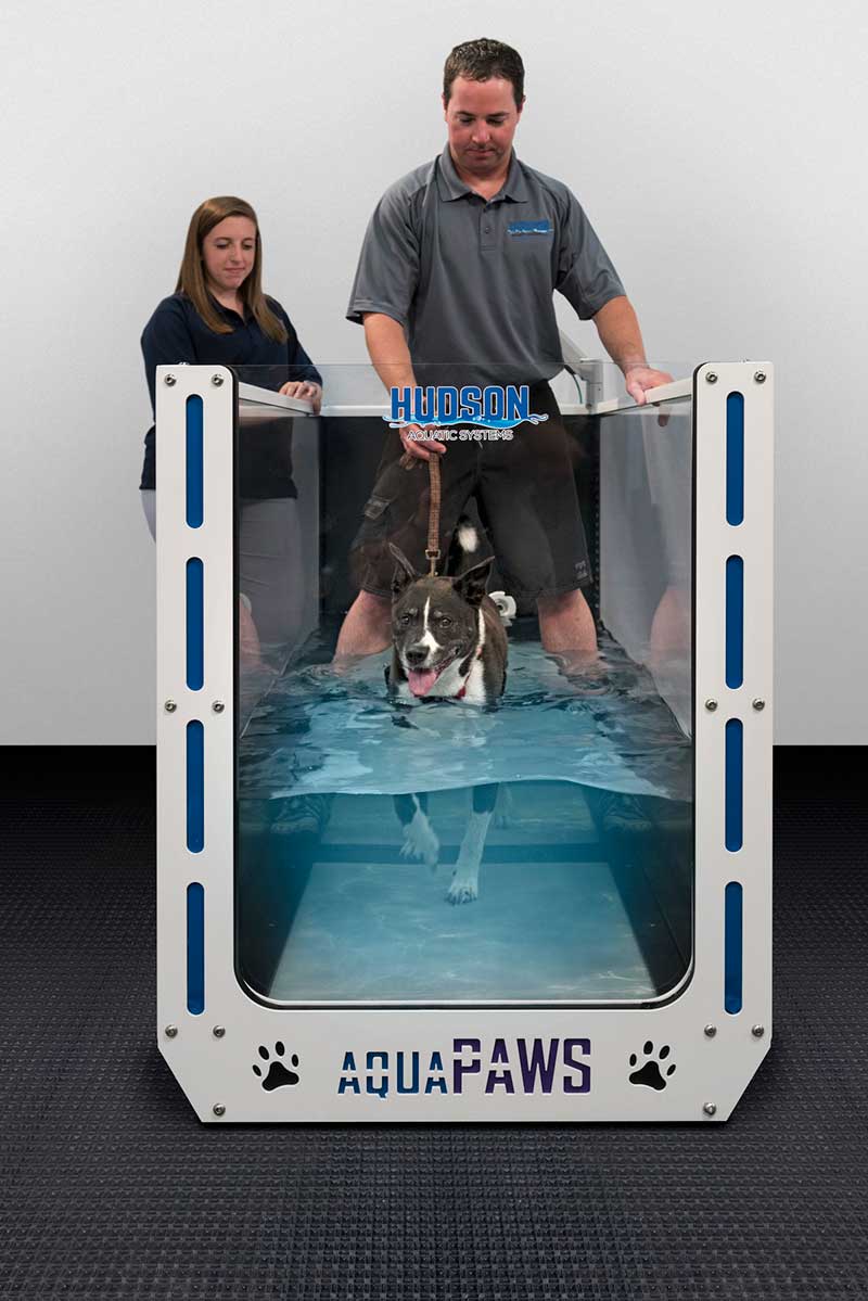 A water treadmill A water treadmill